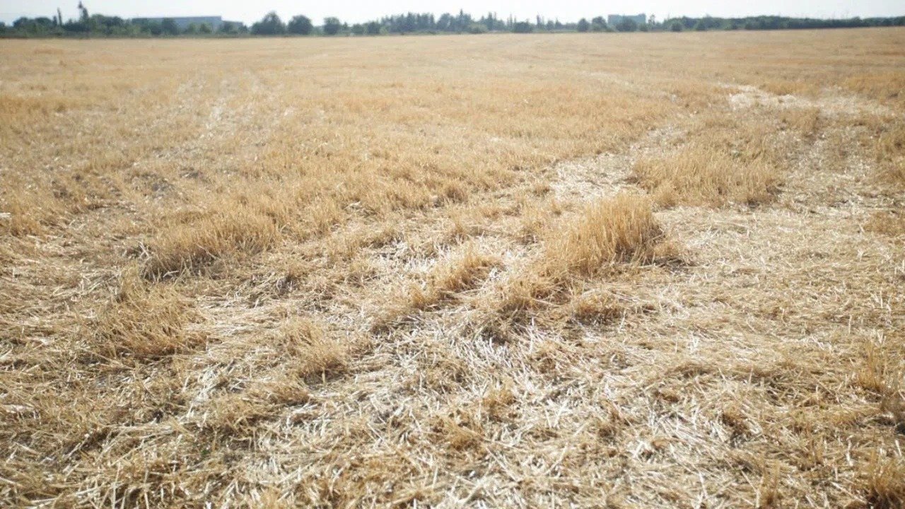 ਪੰਜਾਬ ਸਰਕਾਰ ਵੱਲੋਂ ਸਹਿਕਾਰੀ ਬੈਂਕਾਂ ਰਾਹੀਂ ਫ਼ਸਲੀ ਰਹਿੰਦ-ਖੂੰਹਦ ਪ੍ਰਬੰਧਨ ਕਰਜ਼ਾ ਯੋਜਨਾ ਸ਼ੁਰੂ