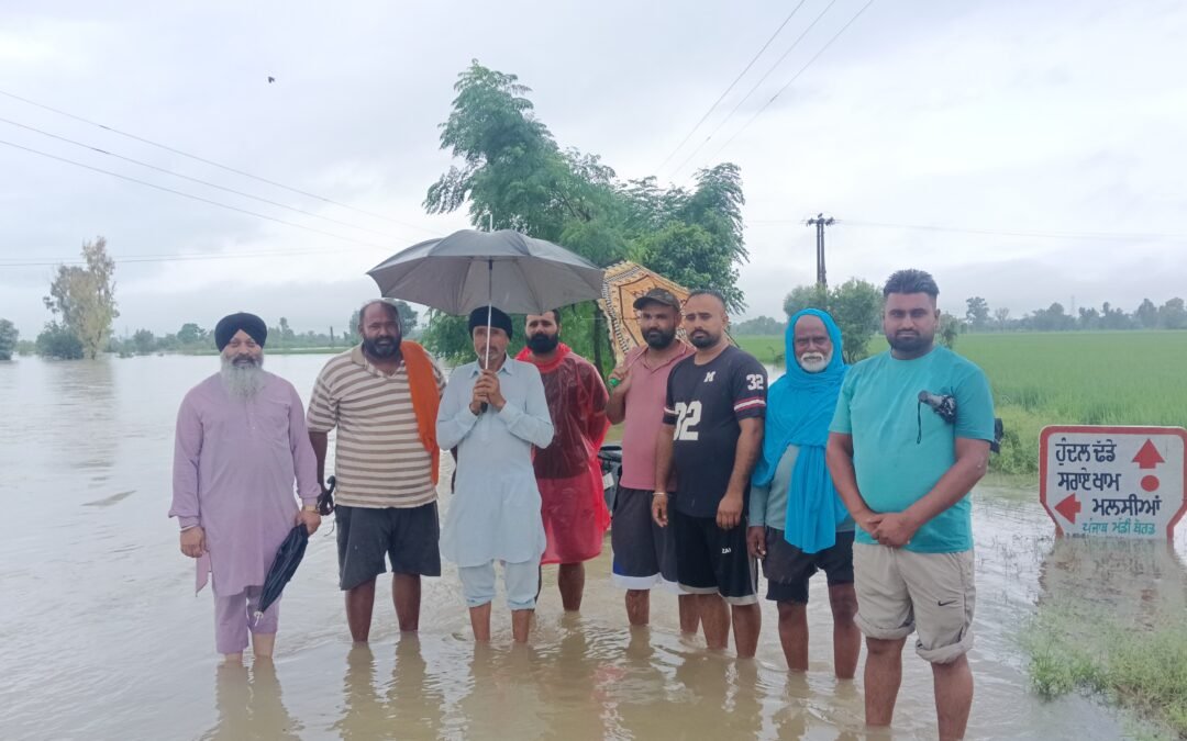 ਚਿੱਟੀ ਵੇਈਂ ਨਦੀ ਦੇ ਪਾਣੀ ਨੇ ਕਿਸਾਨਾਂ ਦੇ ਸੁਕਾਏ ਸਾਹ, ਕਰੀਬ 20 ਪਿੰਡਾਂ ਦੀ ਫਸਲਾਂ ‘ਤੇ ਫਿਰਿਆ ਪਾਣੀ