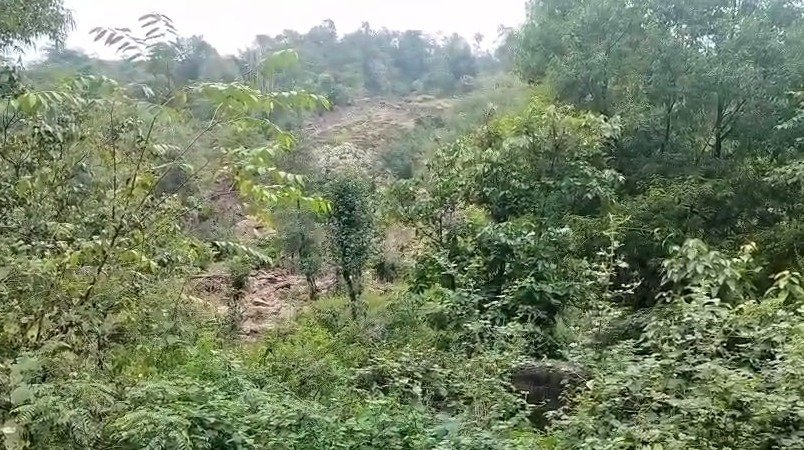 मंडी में बीती रात हुई भारी बारिश से तबाही, भूस्खलन के कारण घरों और गौशालाओं पर खतरा, परिवार बेघर