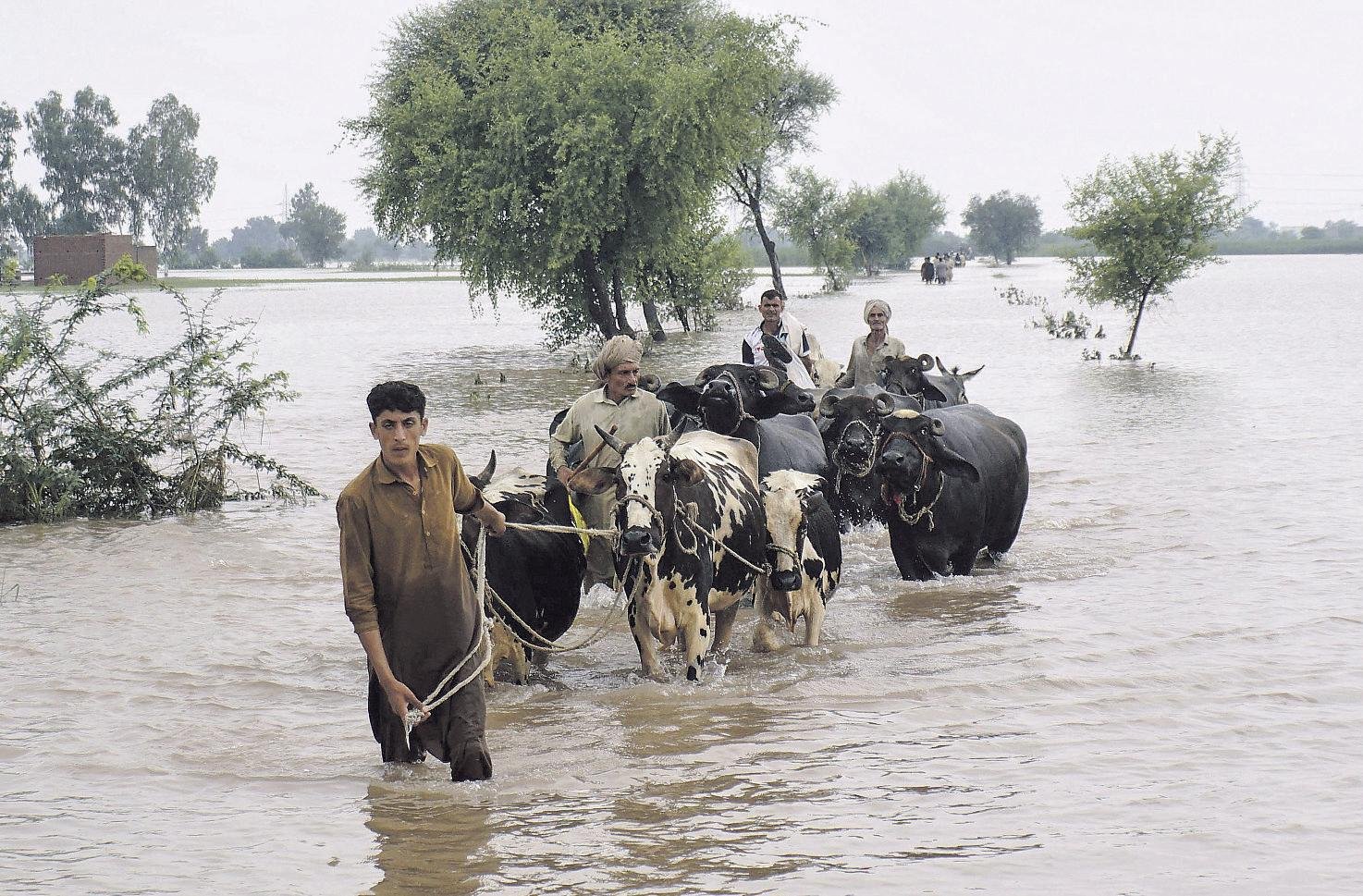 पाकिस्तान में बाढ़ से बिगड़े हालात, पंजाब प्रांत में भारी बारिश से 24 लाख लोग प्रभावित, बाढ़ के बाद महंगाई ने रुलाया