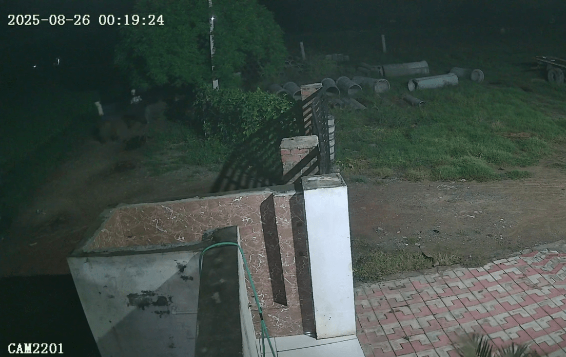 ਪਟਿਆਲਾ ਦੇ ਪਿੰਡ ਬਹਿਲ ਦੀ ਪਾਈਪ ਫੈਕਟਰੀ ’ਚ ਵੱਡੀ ਲੁੱਟ, 10 ਲੁਟੇਰੇ ਕਰਕੇ ਫਰਾਰ