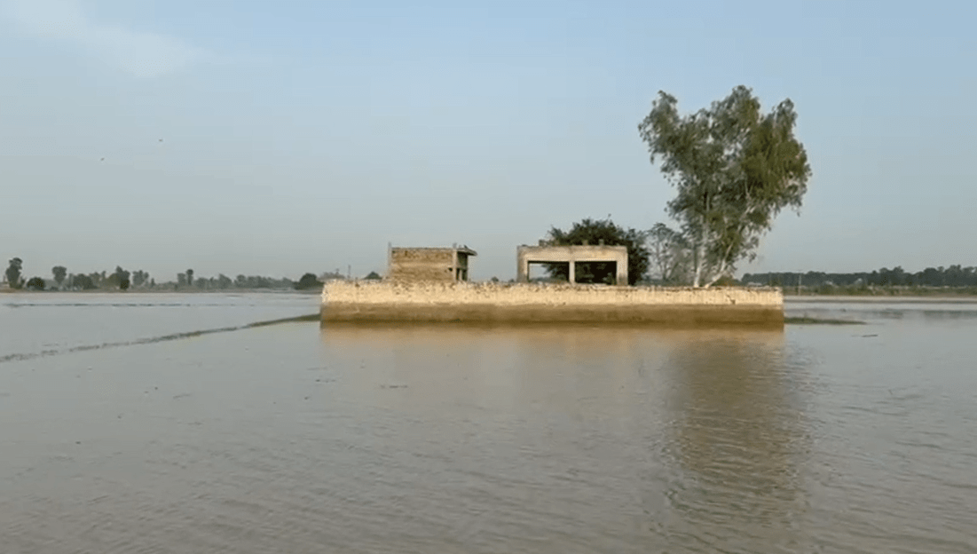 ਘਰ ਬਣਿਆ ਸ਼ਮਸ਼ਾਨ: ਹੜ੍ਹਾਂ ਨੇ ਲੈ ਲਈ ਇਨਸਾਨੀਅਤ ਦੀ ਆਖ਼ਰੀ ਇੱਜ਼ਤ