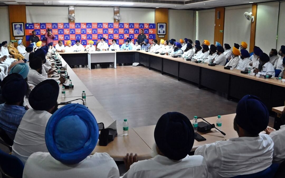 ਸੁਖਬੀਰ ਬਾਦਲ ਦਾ ਹੜ੍ਹ ਮਾਰੇ ਕਿਸਾਨਾਂ ਲਈ ਵੱਡਾ ਐਲਾਨ, ਕਣਕ ਦੀ ਬਿਜਾਈ ਲਈ ਪ੍ਰਦਾਨ ਕਰਾਂਗੇ ਬੀਜ, ਪ੍ਰਧਾਨ ਮੰਤਰੀ ਨੂੰ ਕੀਤੀ ਅਪੀਲ