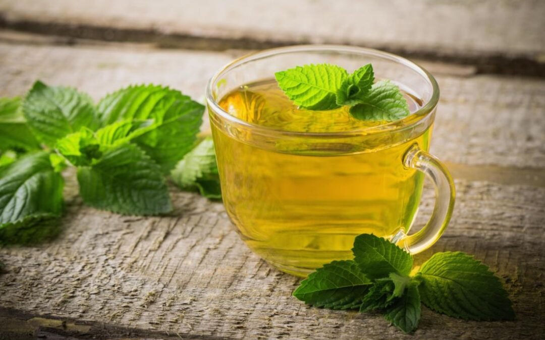 Health Tips: ਬਦਲਦੇ ਮੌਸਮ ਵਿੱਚ ਪੁਦੀਨੇ ਦੀ ਚਾਹ ਪੀਣ ਦੇ ਫਾਇਦੇ ਜਾਣੋ