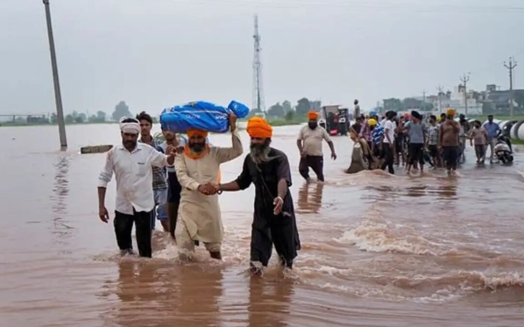 ਹੜ੍ਹਾਂ ਕਾਰਨ ਪੰਜਾਬ ‘ਤੇ ਆਈ ਮੁਸੀਬਤ ‘ਚ ਪੀੜਤਾਂ ਦੀ ਮਦਦ ਲਈ ਅੱਗੇ ਆਏ ਪੰਜਾਬ ਕਲਾਕਾਰ, ਦੇਖੋ Diljit Dosanjh ਨੇ ਕਿੰਝ ਕੀਤੀ ਮਦਦ