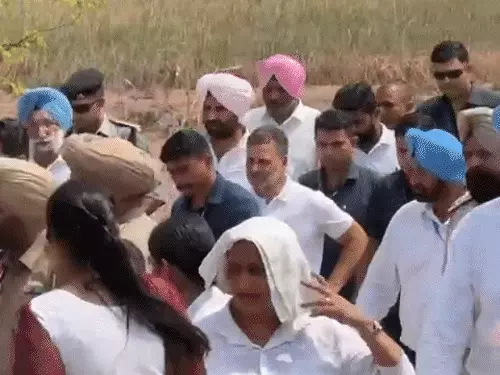 ਪੰਜਾਬ ‘ਚ ਰਾਹੁਲ ਗਾਂਧੀ ਨੇ ਰੋਂਦੇ ਬੱਚੇ ਨੂੰ ਕਰਵਾਇਆ ਚੁੱਪ: ਹੜ੍ਹ ਪੀੜਤਾਂ ਨਾਲ ਕੀਤੀ ਮੁਲਾਕਾਤ, ਕਿਹਾ- ਸਰਕਾਰ ਨੂੰ ਜਲਦੀ ਮੁਆਵਜ਼ਾ ਦੇਣਾ ਚਾਹੀਦਾ ਹੈ