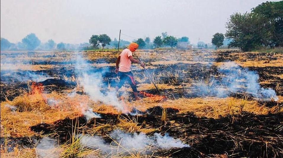 Air Pollution; ਪਰਾਲੀ ਸਾੜਨ ਨਾਲ ਦਿੱਲੀ ਦੀਆਂ ਵਧੀਆਂ ਮੁਸੀਬਤਾਂ; ਹਫ਼ਤੇ ’ਚ 63 ਮਾਮਲੇ ਆਏ ਸਾਹਮਣੇ