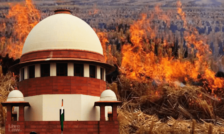 वायु प्रदूषण पर सुप्रीम कोर्ट फिक्रमंद, पराली जलाने वाले किसानों पर कह दी ये बात वायु प्रदूषण पर सुप्रीम कोर्ट फिक्रमंद, पराली जलाने वाले किसानों पर कह दी ये बात