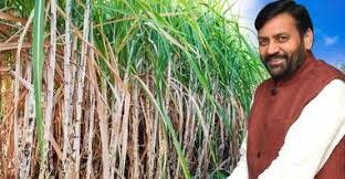 हरियाणा बना गन्ने का देश में सबसे अधिक मूल्य देने वाला राज्य