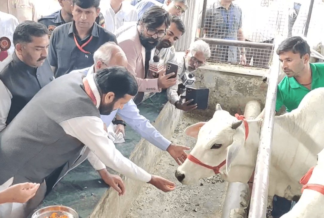 ਕਰਨਾਲ ਵਿੱਚ ਗੋਪਾਸ਼ਟਮੀ ਦਾ ਧੂਮਧਾਮ ਨਾਲ ਜਸ਼ਨ — ਮੁੱਖ ਮੰਤਰੀ ਨਾਇਬ ਸਿੰਘ ਸੈਣੀ ਨੇ ਕੀਤੀ ਗਊ ਪੂਜਾ, ਗਊਆਂ ਲਈ ਵਿਸ਼ੇਸ਼ ਗੁੜ-ਚਾਰਾ ਕੇਕ ਕੱਟਿਆ
