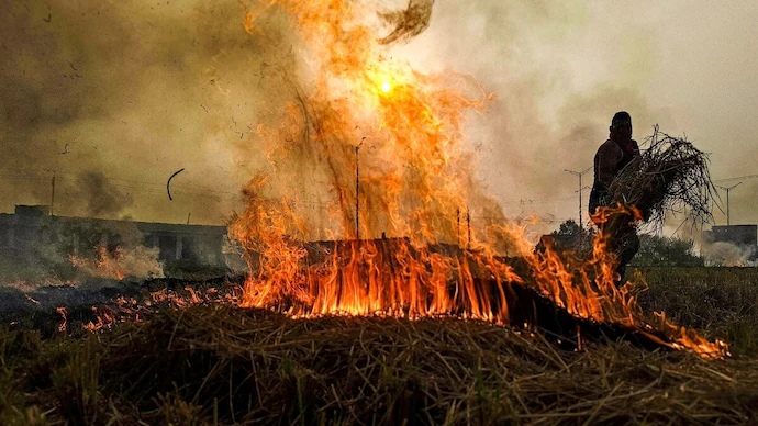 ਸੁਪਰੀਮ ਕੋਰਟ-NGT ਦੀ ਸਖ਼ਤੀ ਦਾ ਅਸਰ! ਪਿਛਲੇ ਸਾਲ ਦੇ ਮੁਕਾਬਲੇ ਪਰਾਲੀ ਸਾੜਨ ਦੇ ਮਾਮਲਿਆਂ ‘ਚ ਆਈ 40% ਦੀ ਕਮੀ, ਹੁਣ ਤੱਕ 743 ਥਾਵਾਂ ‘ਤੇ ਸੜੀ ਪਰਾਲੀ