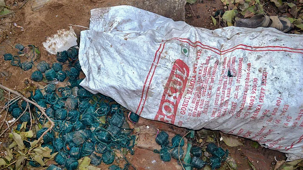 ਦਿੱਲੀ ਪੁਲਿਸ ਨੇ ਦੀਵਾਲੀ ਤੋਂ ਪਹਿਲਾਂ ਗੈਰ-ਕਾਨੂੰਨੀ ਪਟਾਕਿਆਂ ‘ਤੇ ਵੱਡੀ ਕਾਰਵਾਈ, 7 ਗ੍ਰਿਫ਼ਤਾਰ