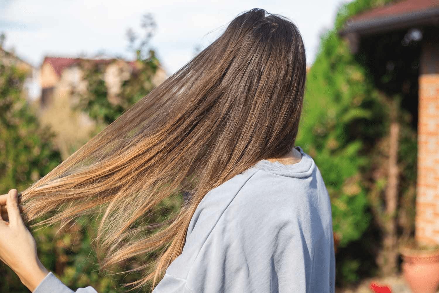 Hair Care Tips: ਵਧਦੇ ਵਾਲਾਂ ਦੇ ਝੜਨ ਨੂੰ ਰੋਕਣ ਲਈ ਵਰਤੋ ਇਹ 5 ਕੁਦਰਤੀ ਜੜੀ-ਬੂਟੀਆਂ