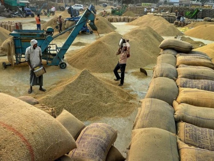 ਝੋਨਾ ਖਰੀਦ ਸੀਜ਼ਨ 2025 ‘ਚ ਪਟਿਆਲਾ ਰਿਹਾ ਮੋਹਰੀ ਅਤੇ ਹੜ੍ਹਾਂ ਦੀ ਮਾਰ ਹੇਠ ਆਇਆ ਤਰਨਤਾਰਨ ਦੂਜੇ ਸਥਾਨ ‘ਤੇ