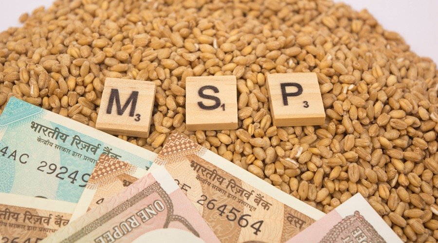 Rabi Crops MSP Hike: ਕਣਕ ਦਾ MSP ਵੱਧ ਕੇ 2585 ਰੁਪਏ ਹੋਇਆ, ਜਾਣੋ ਕਿੰਨੀ ਵਧੀ ਕੀਮਤ