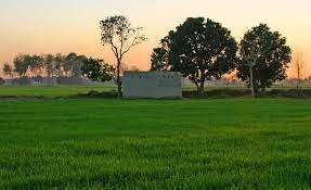 Punjab Weather Update; ਆਉਣ ਵਾਲੇ ਦਿਨਾਂ 'ਚ ਸਾਫ ਰਹੇਗਾ ਮੌਸਮ, ਤਾਪਮਾਨ 'ਚ ਆਈ ਗਿਰਾਵਟ