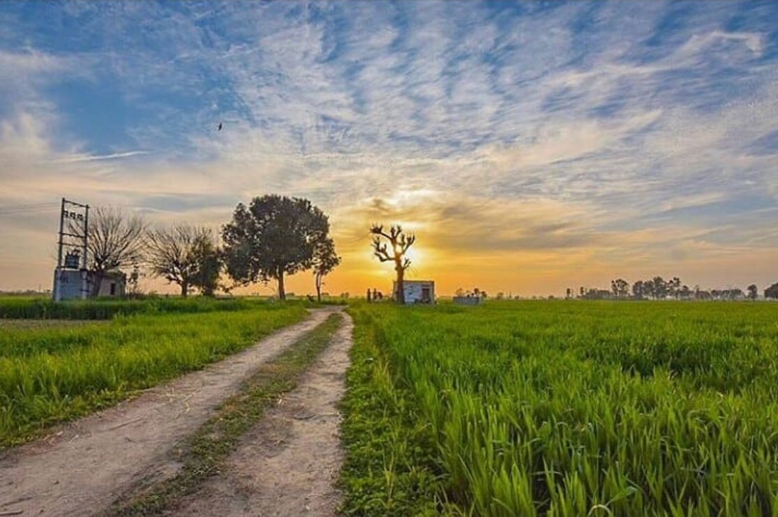 ਪੰਜਾਬ ਦੇ ਤਾਪਮਾਨ ‘ਚ ਲਗਾਤਾਰ ਗਿਰਾਵਟ, 2 ਡਿਗਰੀ ਹੋਰ ਡਿੱਗਣ ਦਾ ਹੈ ਸੰਭਾਵਨਾ, ਜਾਣੋ ਤਾਜ਼ਾ ਅਪਡੇਟ