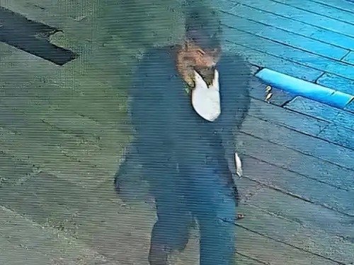 ਸੂਟ ਬੂਟ ‘ਚ ਆਏ ਚੋਰਾਂ ਦਾ ਕਾਰਾ, ਫਾਈਵ ਸਟਾਰ ਹੋਟਲ ‘ਚ ਵਿਆਹ ਚੋਂ ਪਰਸ ਕੀਤਾ ਚੋਰੀ, ਪਰਸ ‘ਚ ਸੀ 15 ਤੋਲੇ ਸੋਨਾ