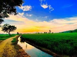 ਪੰਜਾਬ ਦੇ ਤਾਪਮਾਨ ਦਾ ਪਾਰਾ ਡਿੱਗਣਾ ਜਾਰੀ, ਮੀਂਹ ਨੂੰ ਲੈਕੇ ਜਾਣੋ ਮੌਸਮ ਵਿਭਾਗ ਦੀ ਭਵਿੱਖਬਾਣੀ..