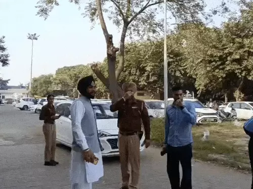 ਆਸਟ੍ਰੇਲੀਆ ਭੇਜਣ ਦੇ ਨਾਂ ‘ਤੇ ਮੋਹਾਲੀ ‘ਚ 7.50 ਲੱਖ ਦੀ ਠੱਗੀ, ਪੀੜਤ ਨੇ ਗਹਿਣੇ ਗਿਰਵੀ ਰੱਖੇ, 16 ਹਜ਼ਾਰ ਮਹੀਨਾਵਾਰ ਕਿਸ਼ਤ