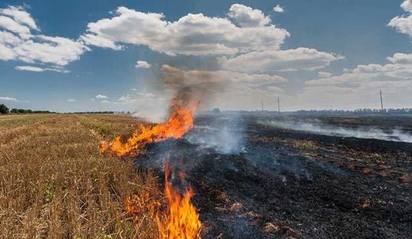 ਪੰਜਾਬ ਦੇ ਤਾਪਮਾਨ ‘ਚ ਗਿਰਾਵਟ ਜਾਰੀ, 10 ਡਿਗਰੀ ਸੈਲਸੀਅਸ ਤੋਂ ਹੇਠਾਂ ਡਿੱਗਿਆ ਪਾਰਾ, ਨਵੰਬਰ ‘ਚ ਵਧੇ ਪਰਾਲੀ ਸਾੜਨ ਦੇ ਮਾਮਲੇ