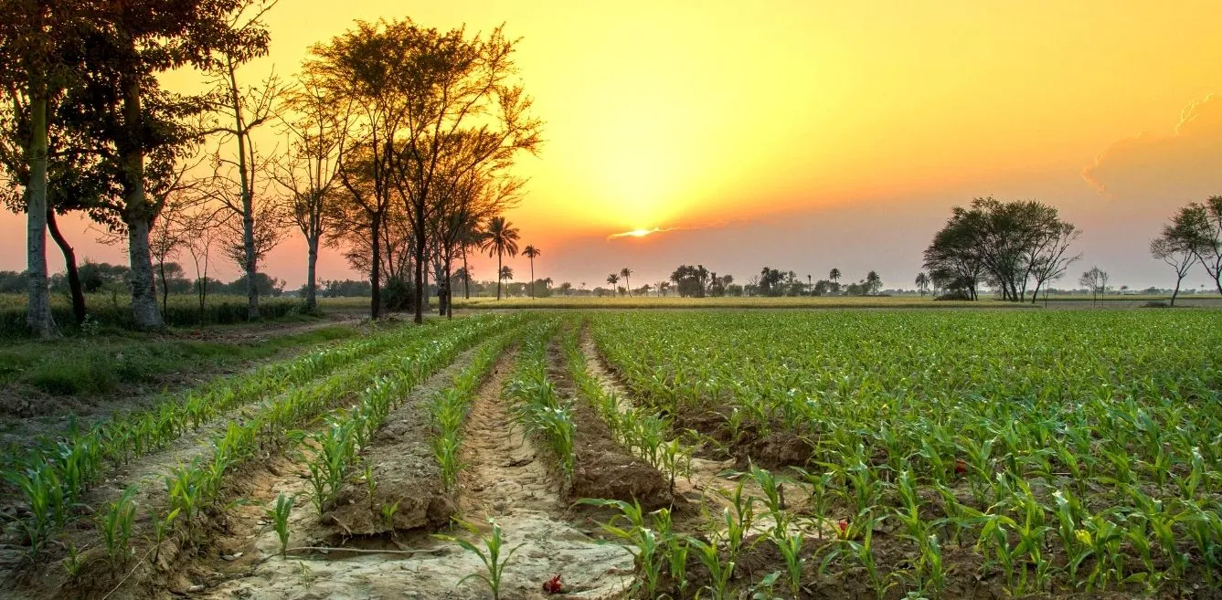 ਪੰਜਾਬ ਅਤੇ ਚੰਡੀਗੜ੍ਹ ‘ਚ ਵਧੀ ਠੰਢ,ਤਾਪਮਾਨ ‘ਚ ਆਈ ਗਿਰਾਵਟ, 3 ਦਸੰਬਰ ਤੱਕ ਦਿਨ ‘ਚ ਰਹੇਗੀ ਠੰਢ