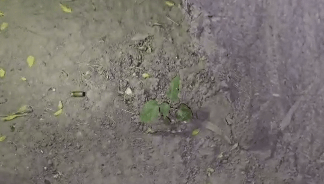 ਗੁਰਦਾਸਪੁਰ: ਵੇਰਕਾ ਮਿਲਕ ਪਲਾਂਟ ਦੇ ਸਾਹਮਣੇ ਦੋ ਬਦਮਾਸ਼ਾਂ ਦੀ ਹਵਾਈ ਫਾਇਰਿੰਗ, ਗੱਡੀ ਲੁੱਟ ਕੇ ਮੋਟਰਸਾਈਕਲ ਛੱਡ ਹੋਏ ਫਰਾਰ