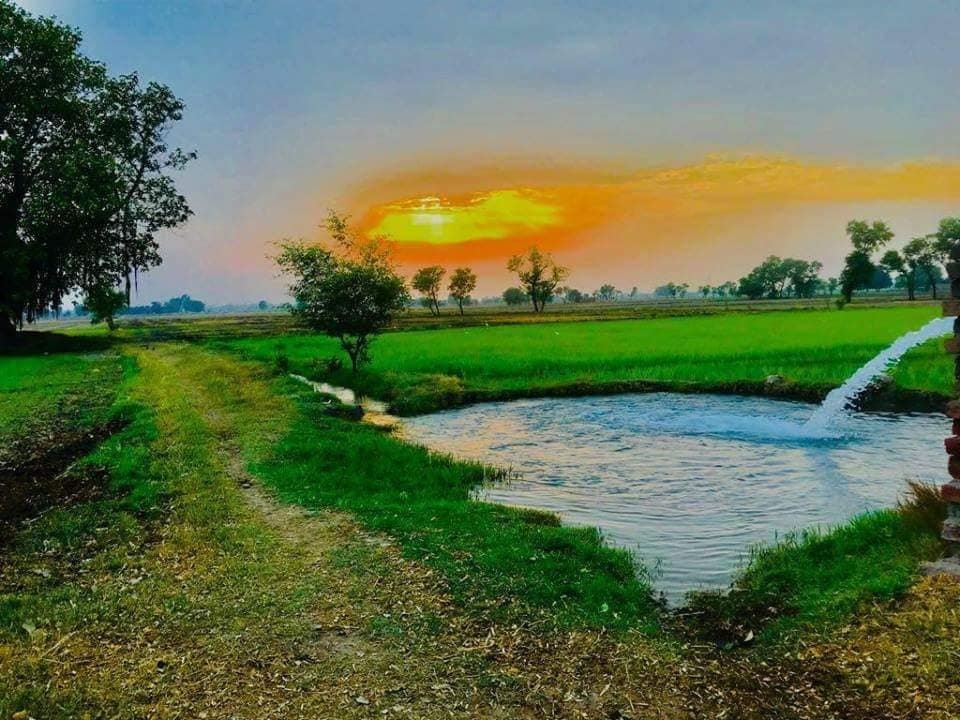 ਪੰਜਾਬ ‘ਚ ਅਗਲੇ ਤਿੰਨ ਦਿਨਾਂ ਲਈ ਸੀਤ ਲਹਿਰ ਦੀ ਚੇਤਾਵਨੀ ਜਾਰੀ, ਤਾਪਮਾਨ ਆਈ ‘ਚ 4 ਡਿਗਰੀ ਸੈਲਸੀਅਸ ਦੀ ਗਿਰਾਵਟ, ਬਠਿੰਡਾ ਰਿਹਾ ਸਭ ਤੋਂ ਠੰਡਾ ਸ਼ਹਿਰ