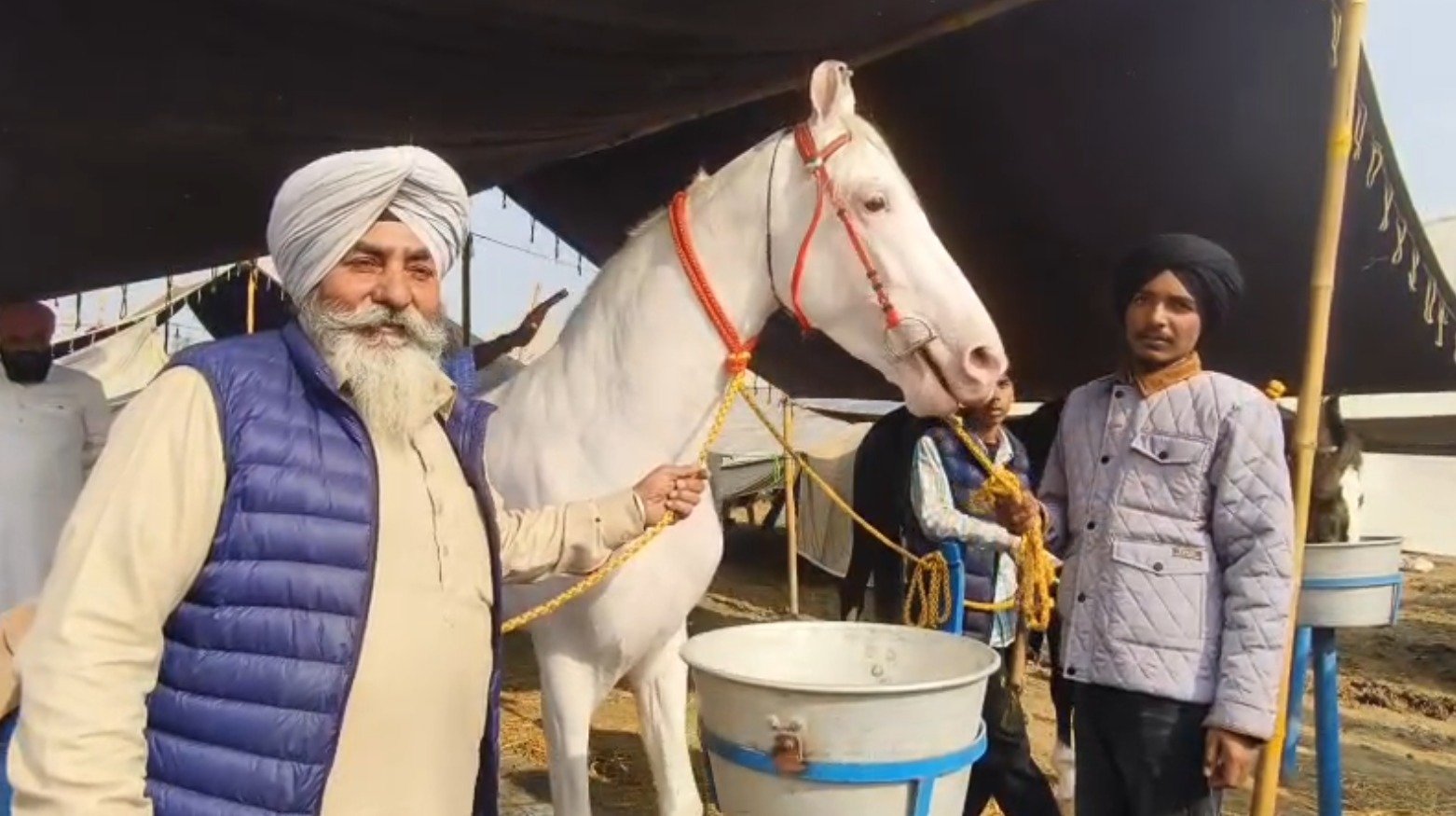 ਪਸ਼ੂ ਮੇਲੇ ‘ਚ ਆਇਆ ਪੰਜਾਬ ਦਾ 1 ਕਰੋੜ ਵਾਲਾ ਘੋੜਾ, ਸਿਰ ਤੋਂ ਲੈਕੇ ਪੈਰਾਂ ਤਕ ਚਿੱਟਾ ਰੰਗ, ਇਸਦੀ ਖ਼ੁਰਾਕ ਜਾਣ ਤੁਸੀਂ ਵੀ ਹੋ ਜਾਵੋਗੇ ਹੈਰਾਨ