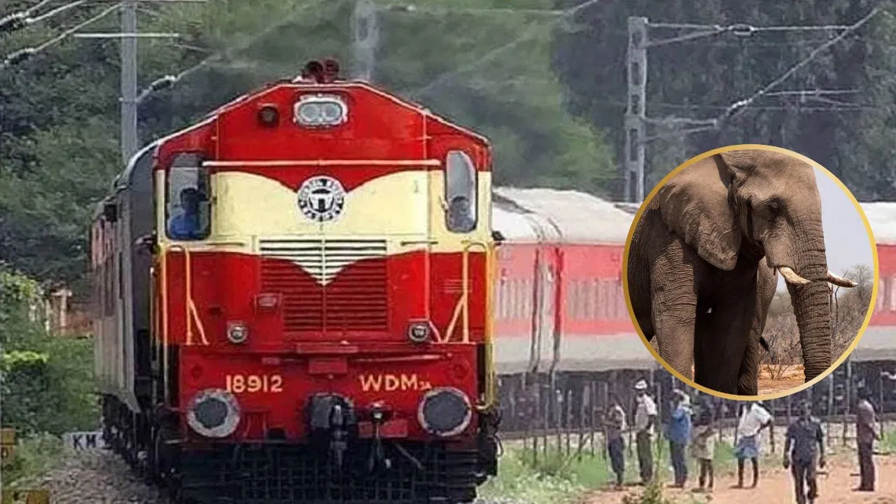 ਅਸਾਮ ਵਿੱਚ ਵੱਡਾ ਹਾਦਸਾ: ਰਾਜਧਾਨੀ ਐਕਸਪ੍ਰੈਸ ਨਾਲ ਟਕਰਾਉਣ ਤੋਂ ਬਾਅਦ 8 ਹਾਥੀਆਂ ਦੀ ਮੌਤ, 5 ਡੱਬੇ ਪਟੜੀ ਤੋਂ ਉਤਰੇ