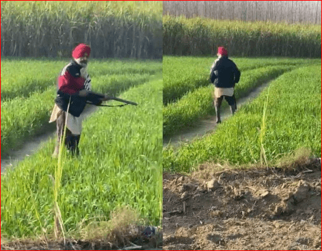 Dasuya Firing: ਦਸੂਹਾ ‘ਚ ਜ਼ਮੀਨੀ ਵਿਵਾਦ ਨੂੰ ਲੈ ਕੇ ਦੋ ਧਿਰਾਂ ‘ਚ ਚੱਲੀਆਂ ਗੋਲੀਆਂ