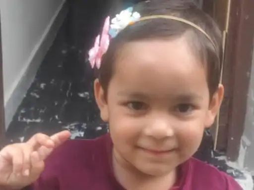 ਸੜਕ ਹਾਦਸੇ ਵਿੱਚ ਲੜਕੀ ਦੀ ਮੌਤ, ਪਲਵਲ ਵਿੱਚ ਘਰ ਦੇ ਬਾਹਰ ਖੇਡ ਰਹੇ ਸੀ