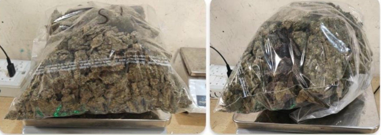 ਕਸਟਮ ਵਿਭਾਗ ਦੀ ਮੁੰਬਈ ਹਵਾਈ ਅੱਡੇ ‘ਤੇ ਵੱਡੀ ਕਾਰਵਾਈ , ₹61 ਕਰੋੜ ਦੀ ਹਾਈਡ੍ਰੋਪੋਨਿਕ ਬੂਟੀ ਕੀਤੀ ਜ਼ਬਤ