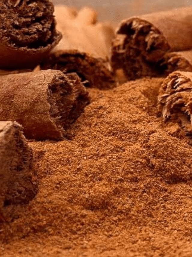 ਦਾਲਚੀਨੀ ਪਾਣੀ ਪੀਣ ਦੇ ਫਾਇਦੇ...