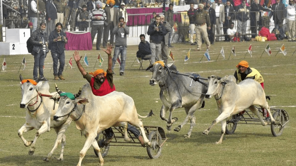 Qila Raipur ਦੀਆਂ ਖੇਡਾਂ 30 ਜਨਵਰੀ ਤੋਂ ਹੋਣਗੀਆਂ ਸ਼ੁਰੂ , ਇਸ ਵਾਰ ਬੈਲ ਗੱਡੀਆਂ ਦੀਆਂ ਹੋਣਗੀਆਂ ਦੌੜਾਂ