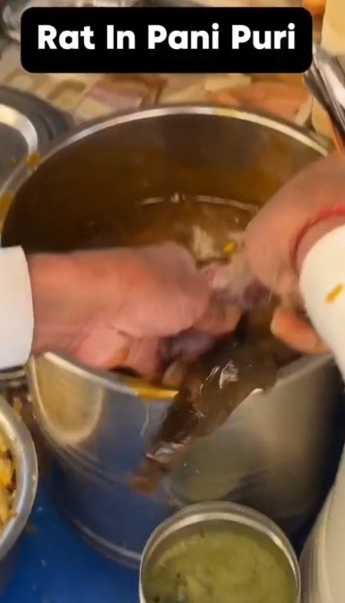 Amritsar ‘ਚ ਗੋਲਗੱਪੇ ਦੀ ਕਾਂਜੀ ‘ਚੋਂ ਚੂਹਾ ਨਿਕਲਿਆ, ਵੀਡੀਓ ਵਾਇਰਲ