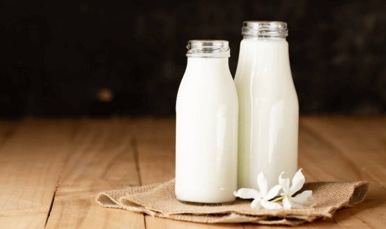 ਜੇਕਰ ਤੁਸੀਂ ਠੰਡਾ ਦੁੱਧ ਪੀਂਦੇ ਹੋ ਤਾਂ ਕੀ ਹੁੰਦਾ ਹੈ? ਕੀ ਇਹ ਤੁਹਾਡੀ ਸਿਹਤ ਲਈ ਲਾਭਦਾਇਕ ਹੈ ਜਾਂ ਨੁਕਸਾਨਦੇਹ?