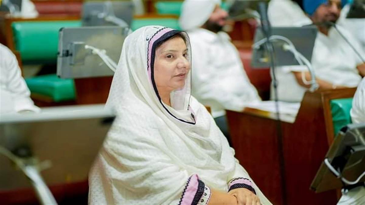 ਧੌਣ ‘ਤੇ ਗੋਡਾ ਰੱਖ ਕੇ 117 ਸੀਟਾਂ ਜਿੱਤਾਂਗੇ”, ਆਪ ਵਿਧਾਇਕ ਦੇ ਬਿਆਨ ‘ਤੇ ਮਚਿਆ ਸਿਆਸੀ ਹੰਗਾਮਾ