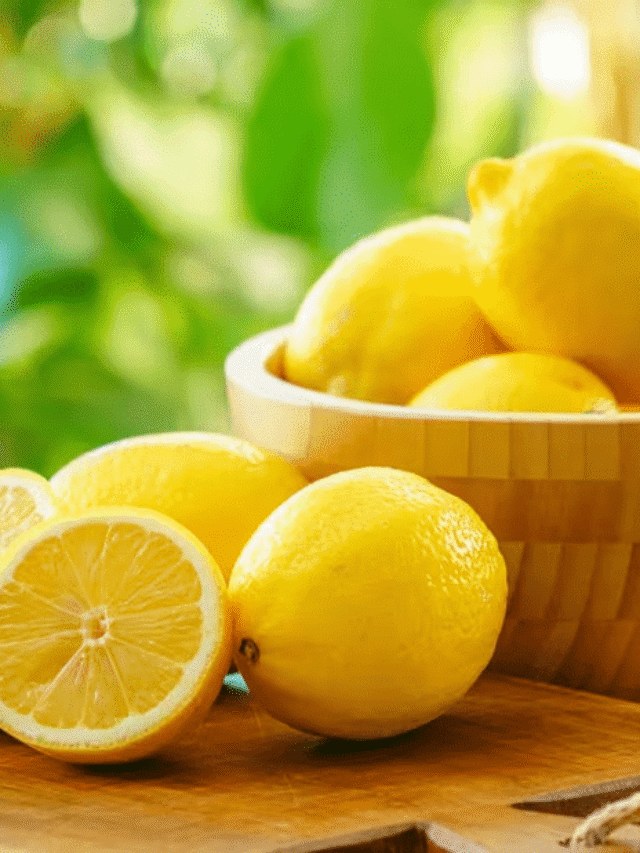 ਪਚਣ ਪ੍ਰਣਾਲੀ ਤੋਂ ਵਜ਼ਨ ਘਟਾਉਣ ਤੱਕ ਫਾਇਦੇਮੰਦ...