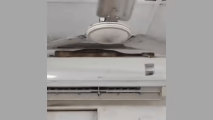 ਮੁੰਬਈ ਹਵਾਈ ਅੱਡੇ ਨੇੜੇ 7 ਫੁੱਟ ਲੰਬਾ ਸੱਪ ਮਿਲਿਆ, Video ਸੋਸ਼ਲ ਮੀਡੀਆ ਤੇ ਤੇਜ਼ੀ ਨਾਲ ਵਾਇਰਲ