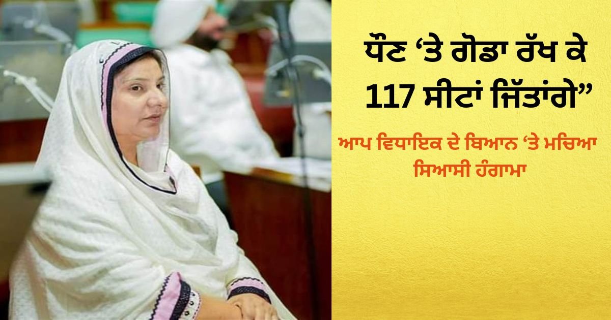ਧੌਣ ‘ਤੇ ਗੋਡਾ ਰੱਖ ਕੇ 117 ਸੀਟਾਂ ਜਿੱਤਾਂਗੇ”, ਆਪ ਵਿਧਾਇਕ ਦੇ ਬਿਆਨ ‘ਤੇ ਮਚਿਆ ਸਿਆਸੀ ਹੰਗਾਮਾ
