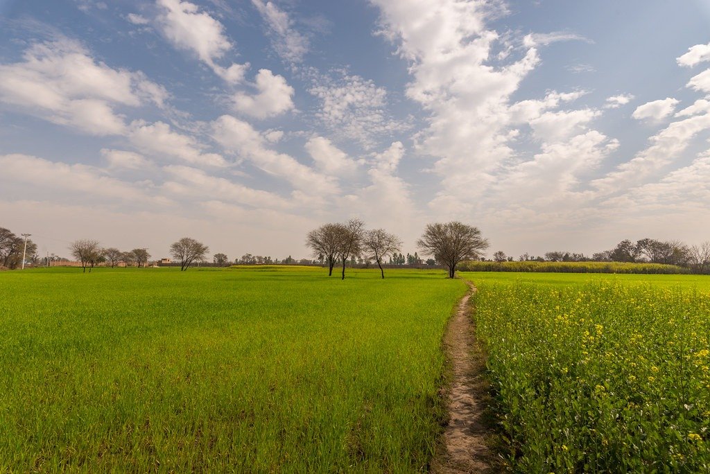 ਪੰਜਾਬ ਦੇ ਜ਼ਿਆਦਾਤਰ ਜ਼ਿਲ੍ਹਿਆਂ ‘ਚ ਤੇਜ਼ ਹਵਾਵਾਂ, 14 ਫਰਵਰੀ ਤੱਕ ਮੌਸਮ ਰਹੇਗਾ ਖੁਸ਼ਕ