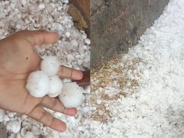 ਸ੍ਰੀ ਮੁਕਤਸਰ ਸਾਹਿਬ ਦੇ ਕਈ ਪਿੰਡਾਂ ’ਚ ਭਾਰੀ ਗੜ੍ਹੇਮਾਰੀ, ਕਿਸਾਨ ਚਿੰਤਾ ’ਚ