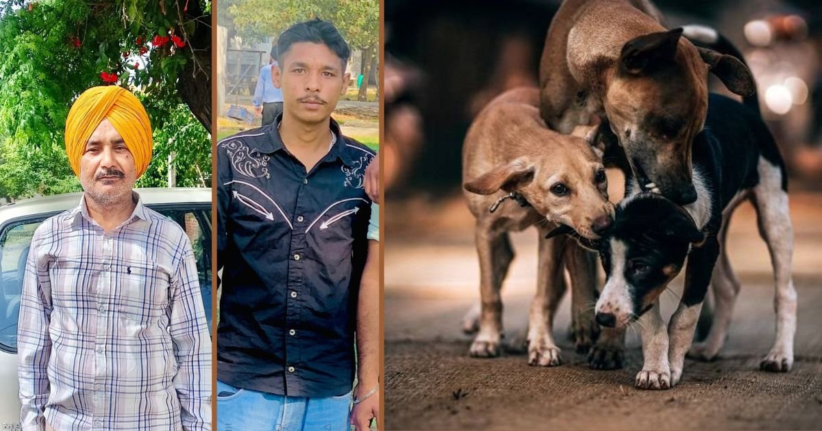 ਅਵਾਰਾ ਕੁੱਤਿਆਂ ਕਾਰਨ ਵਾਪਰਿਆ ਮੰਦਭਾਗਾ ਹਾਦਸਾ, ਦੋ ਵਿਕਅਤੀਆਂ ਦੀ ਹੋਈ ਮੌਤ