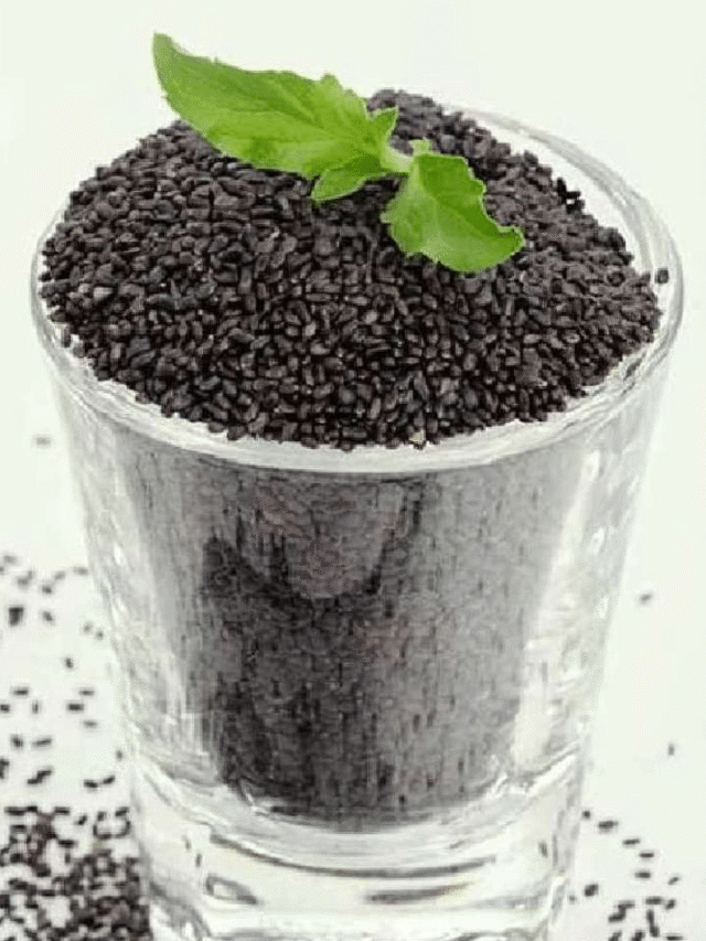 Basil Seeds ਕਿੰਨੇ ਫਾਇੰਦੇਮੰਦ , ਜਾਣੋ...