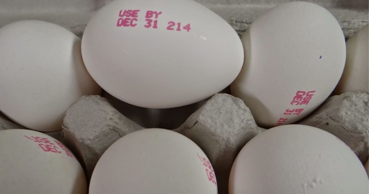 ਸਰਕਾਰ ਦਾ ਵੱਡਾ ਫੈਸਲਾ! ਹੁਣ ਹਰ ਅੰਡੇ ’ਤੇ ਲਿਖੀ ਹੋਵੇਗੀ Expiration date, 1 ਅਪ੍ਰੈਲ ਤੋਂ ਨਵਾਂ ਨਿਯਮ ਲਾਗੂ