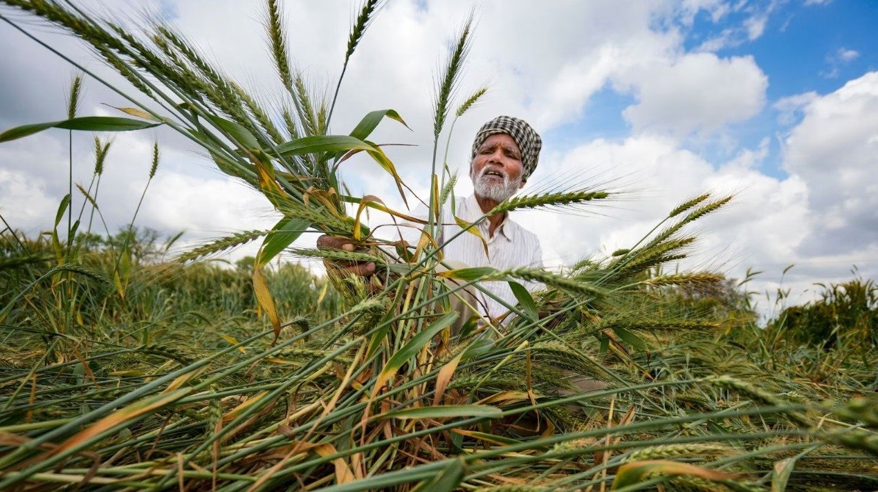 ਪੰਜਾਬ ‘ਚ ਬਦਲਿਆ ਮੌਸਮ, ਤਾਪਮਾਨ ਡਿੱਗਿਆ, 11 ਜ਼ਿਲ੍ਹਿਆਂ ਵਿੱਚ ਗੜੇਮਾਰੀ ਦਾ ਖ਼ਤਰਾ, ਕਿਸਾਨਾਂ ਦੀ ਵਧੀ ਚਿੰਤਾ