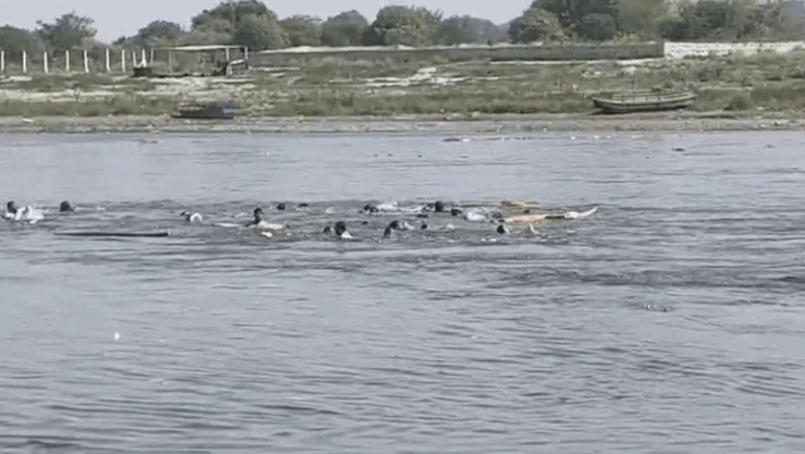 Mathura Yamuna ਹਾਦਸਾ: ਕਿਸ਼ਤੀ ਪਲਟਣ ਨਾਲ ਮੌਤਾਂ 10 ਤੱਕ ਪਹੁੰਚੀਆਂ, 5 ਅਜੇ ਵੀ ਲਾਪਤਾ