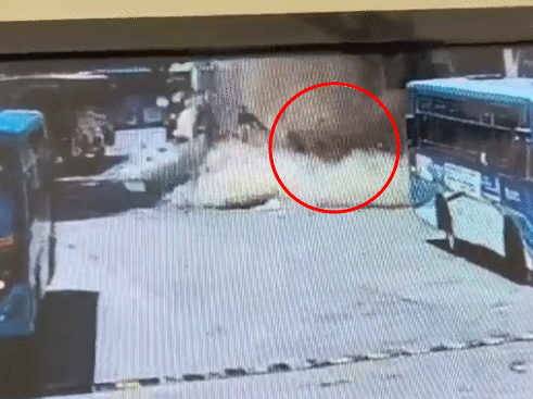 Vadodara ਬੱਸ ਸਟੇਸ਼ਨ ਹਾਦਸਾ: 114 ਕਰੋੜ ਦੇ ਟਰਮੀਨਲ ‘ਚ ਮਲਬਾ ਡਿੱਗਣ ਨਾਲ ਬਜ਼ੁਰਗ ਦੀ ਮੌਤ, CCTV ਨੇ ਖੋਲ੍ਹੀ ਲਾਪਰਵਾਹੀ