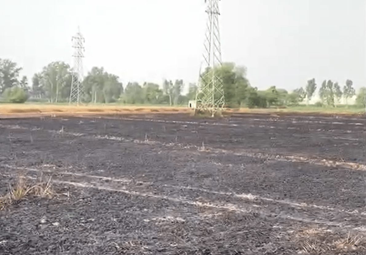 ਵਾਢੀ ਦੀਆਂ ਖੁਸ਼ੀਆਂ 'ਤੇ ਫਿਰਿਆ ਅੱਗ ਦਾ ਕਹਿਰ; ਟਰਾਂਸਫਾਰਮਰ ਦੇ ਸ਼ਾਰਟ ਸਰਕਟ ਕਾਰਨ 3 ਏਕੜ ਪੱਕੀ ਕਣਕ ਸੜ ਕੇ ਸੁਆਹ